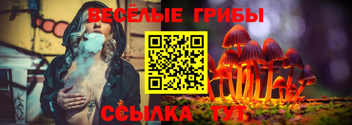 Псилоцибиновые грибы ЛСД Кольчугино